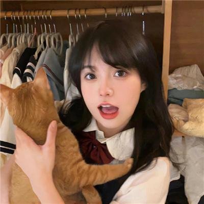 墨西卡利笨猫